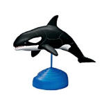 Orca Killer Whale model puzzle