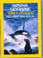 National Geographic Killer Whales Wolves of the Sea DVD
