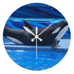 Round Killer Whale Wall Clock